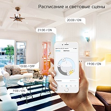 Лампа светодиодная диммируемая Gauss Smart Home E27 10W 2700-6500K матовая 1080112 1