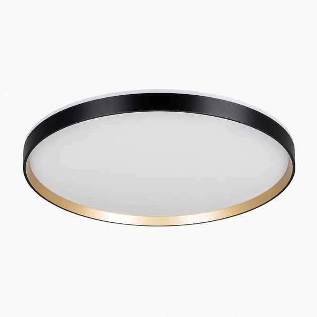 Светильник с пультом Citilux ETALON CL750501R Фото № 10