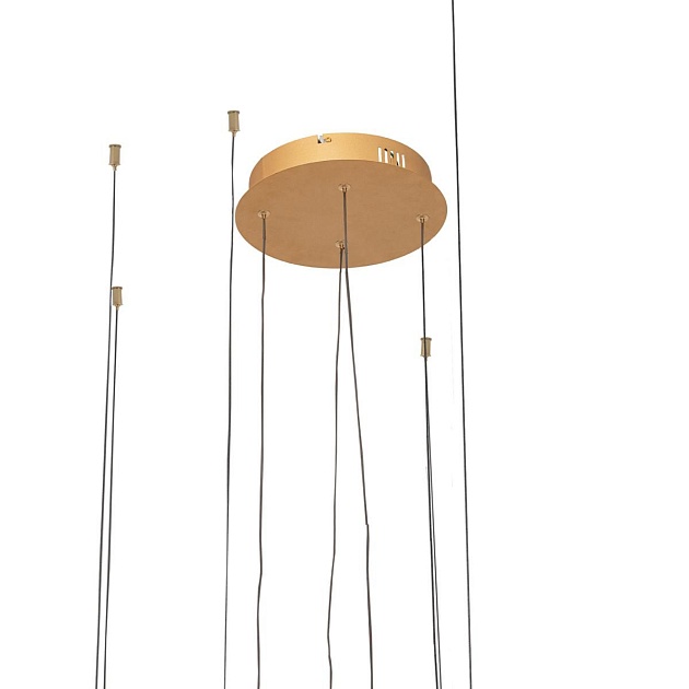 Подвесной светодиодный светильник Loft IT Ring 10017/4L Фото № 4