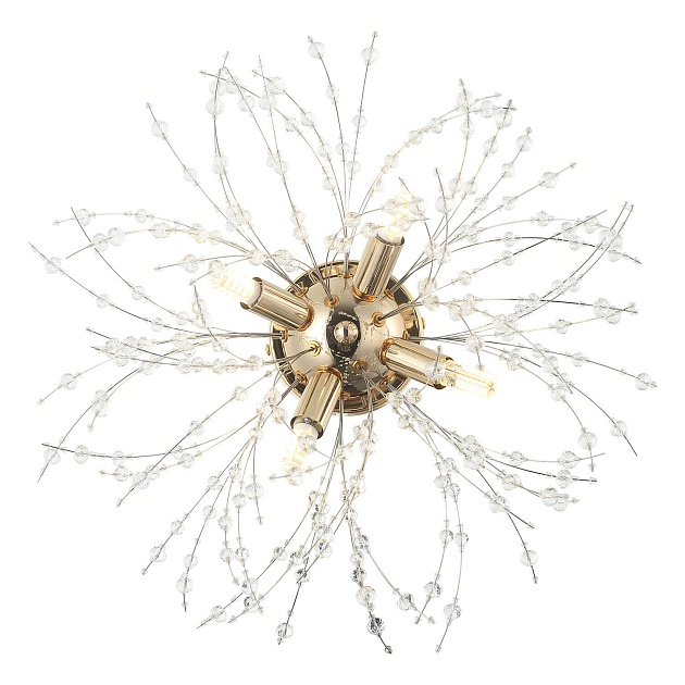 Потолочная люстра Lussole Loft Davie LSP-8781 Фото № 6