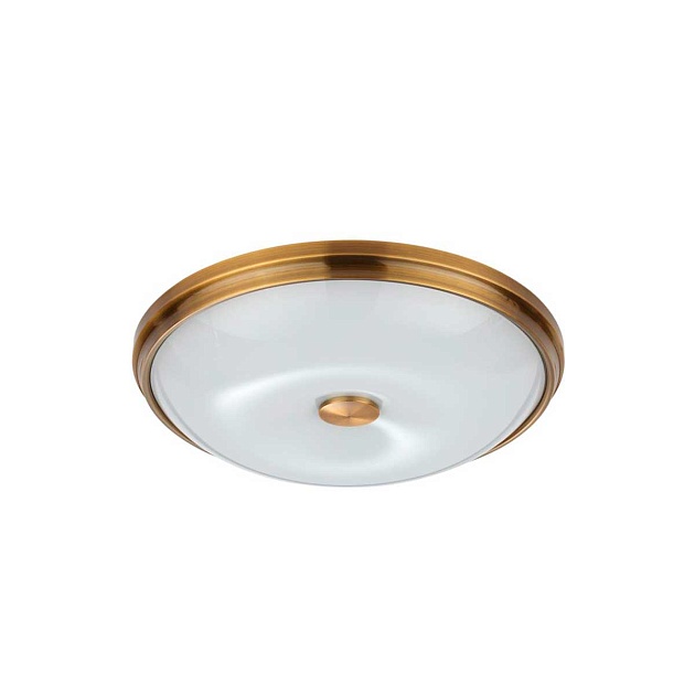 Потолочный светильник Odeon Light Walli Pelow 4956/4 Фото № 1