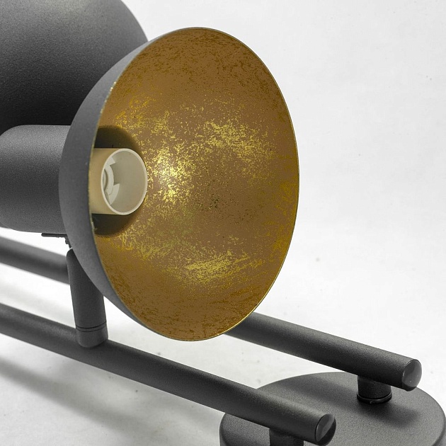 Спот Lussole Loft Louisville GRLSP-9976 Фото № 4