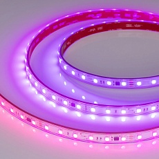 Светодиодная лента Arlight 12W/m 60LED/m 5060SMD разноцветный 5М SPI-PS-B60-12mm 24V 039181 2