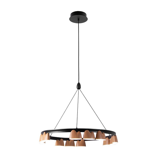 Подвесная светодиодная люстра Favourite Interline 4266-12P изображение 1 Подвесная светодиодная люстра Favourite Interline 4266-12P Фото № 1