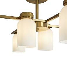 Потолочная люстра Freya Kamelia FR5446PL-06BS 2