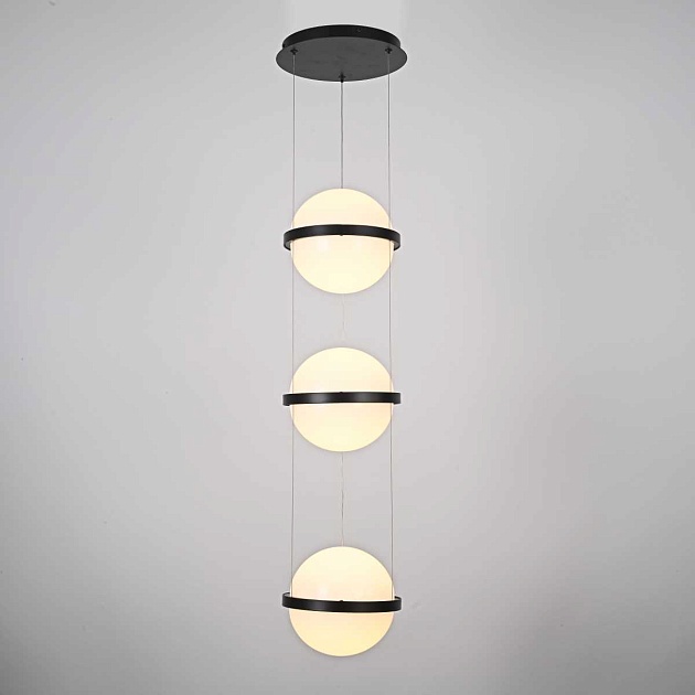 Подвесной светодиодный светильник Imperium Loft Palma 168493-22 изображение 9 Подвесной светодиодный светильник Imperium Loft Palma 168493-22 Фото № 9