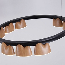 Подвесная светодиодная люстра Favourite Interline 4266-21P 3