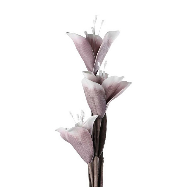 Искусственное растение Eglo MOLAVE 428115 изображение 2 Искусственное растение Eglo MOLAVE 428115 Фото № 2