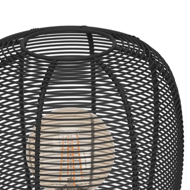 Настольная лампа Eglo Rinroe 43967 Фото № 3