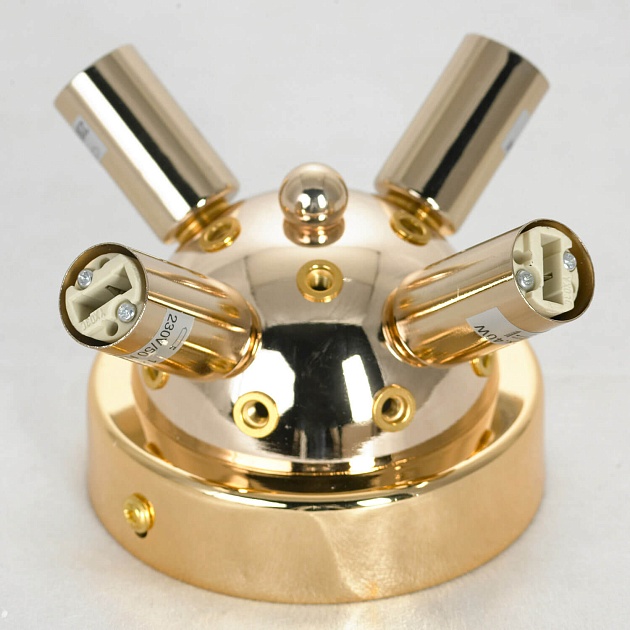 Потолочная люстра Lussole Loft Davie LSP-8781 Фото № 5