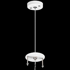 Подвес Lightstar Rullo 590086 4