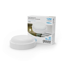 Уличный светодиодный светильник Gauss 126411312-S 1