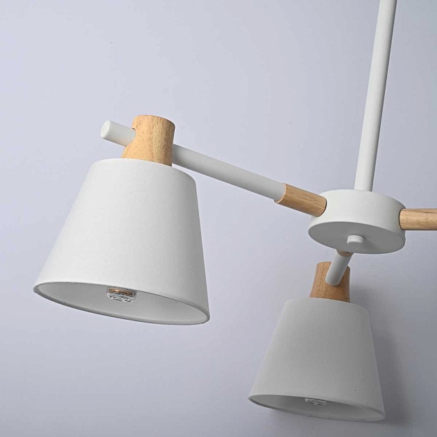 Подвесная люстра Imperium Loft Natura 101826-26 Фото № 2