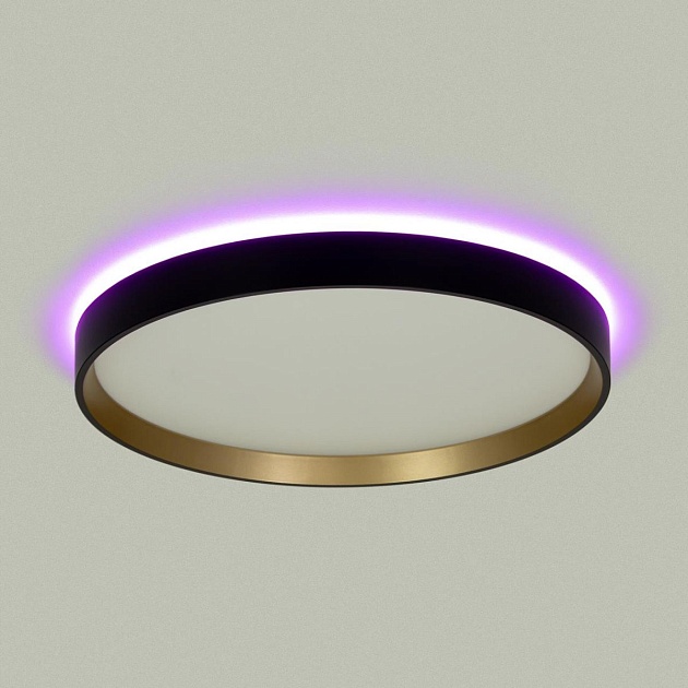 Светильник с пультом Citilux ETALON CL750321R Фото № 16