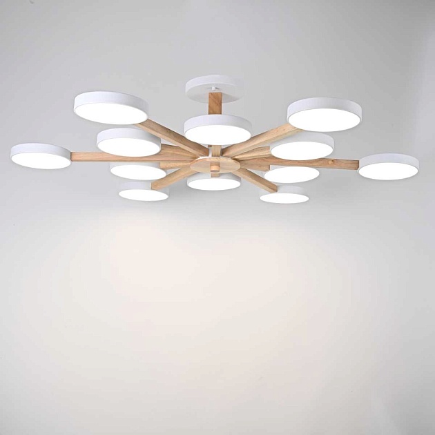 Потолочный светильник Imperium Loft TURNA-B01 228851-26 Фото № 7