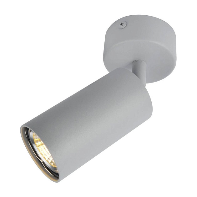 Спот Arte Lamp A3216PL-1GY изображение 1 Спот Arte Lamp A3216PL-1GY Фото № 1