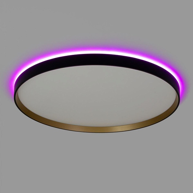 Светильник с пультом Citilux ETALON CL750501R Фото № 14