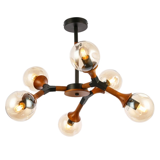 Потолочная люстра Evoluce Raquel SLE109402-06 Фото № 1