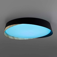 Светильник потолочный Citilux BONNY CL754351G 2