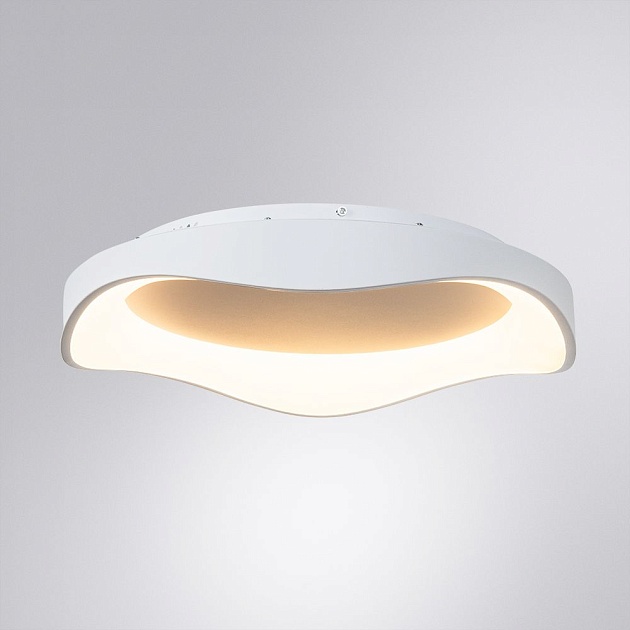 Потолочный светодиодный светильник Arte Lamp Ankaa A3085PL-56WH Фото № 4