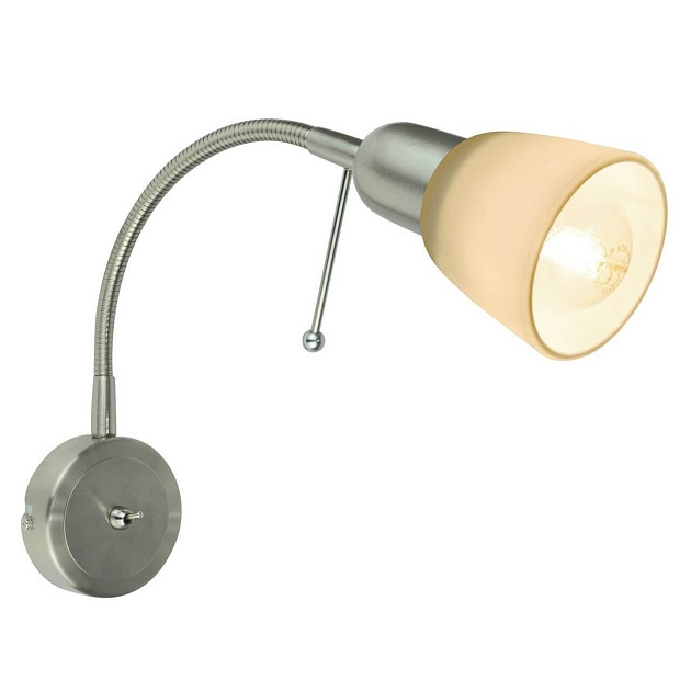 Спот Arte Lamp Lettura A7009AP-1SS Фото № 1