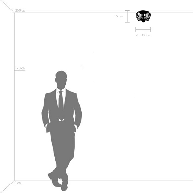 Потолочный светильник Lightstar Celesta 809000 Фото № 4