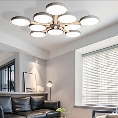 Потолочный светильник Imperium Loft TURNA-B01 228858-26 5