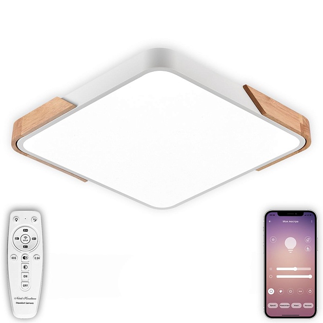 Потолочный светодиодный светильник Natali Kovaltseva LED LAMPS 81410 Фото № 1