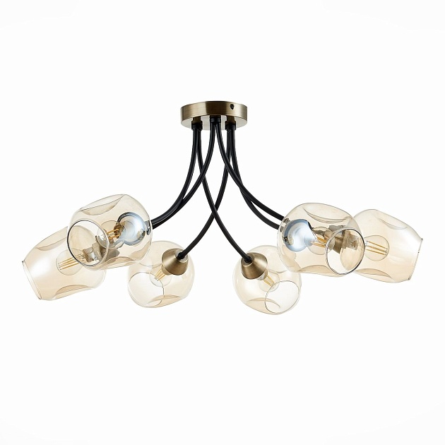 Потолочная люстра Evoluce Besano SLE205302-06 Фото № 1