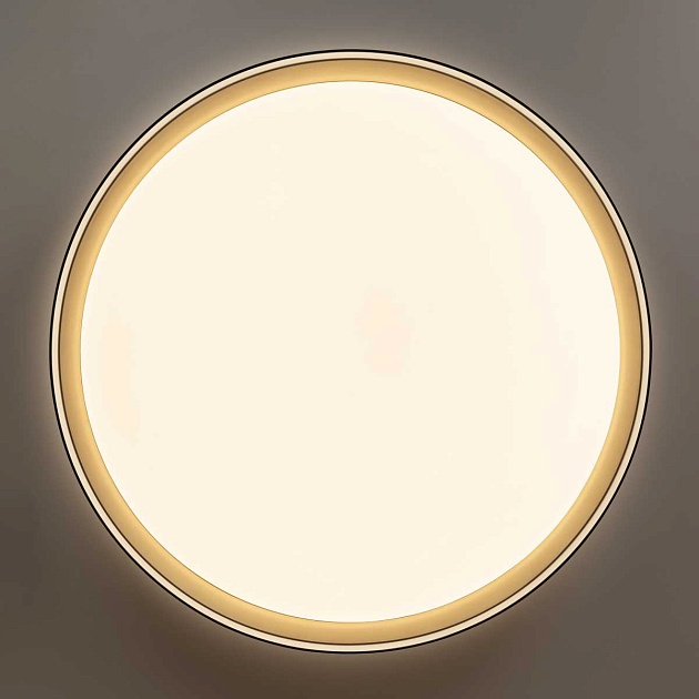 Потолочный светодиодный светильник Citilux Boss CL751451G Фото № 14