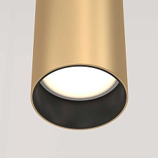 Подвесной светильник Maytoni Technical Focus P075PL-01MG 4