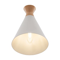 Спот Freya Rise FR5169WL-01W 2