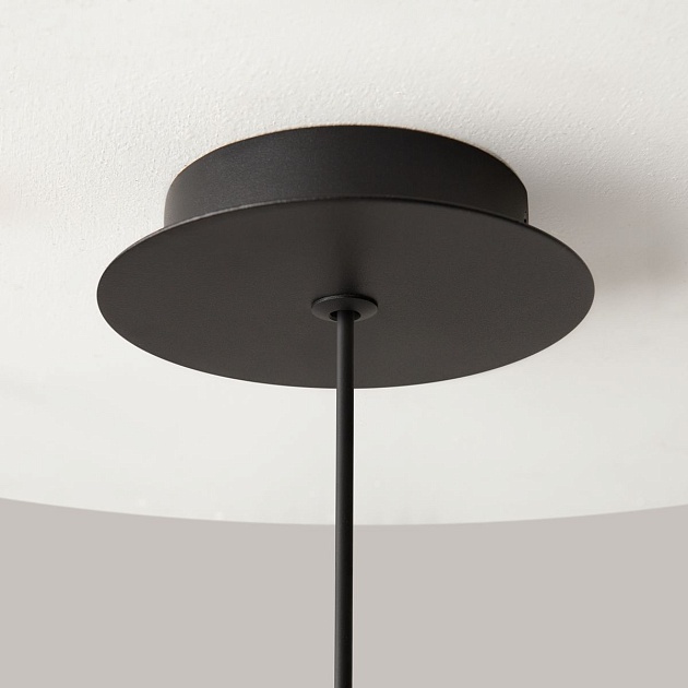 Подвесной светильник Maytoni Technical Mollis MOD126PL-01B Фото № 4