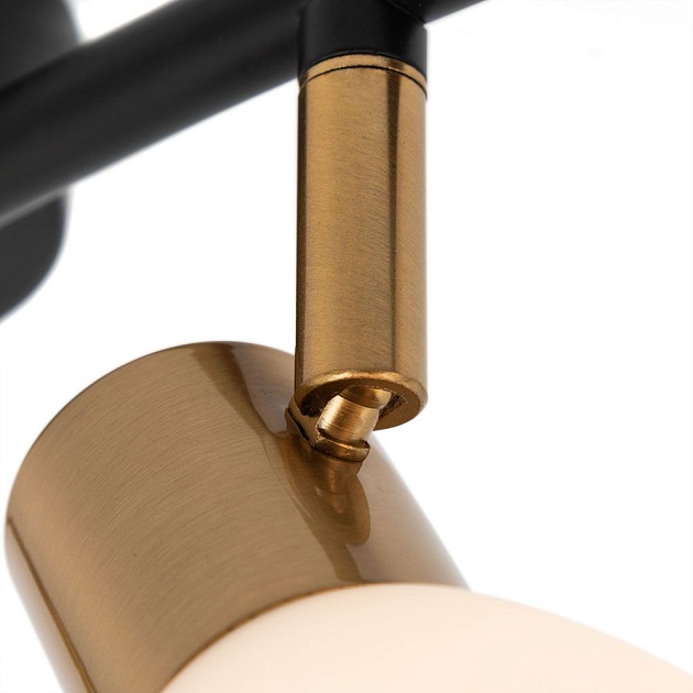 Спот Arte Lamp Falena A3117PL-4BK Фото № 2