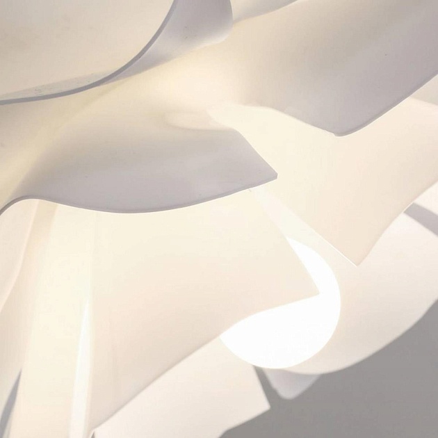 Подвесная люстра Lightera Chad LE116L-55W Фото № 9