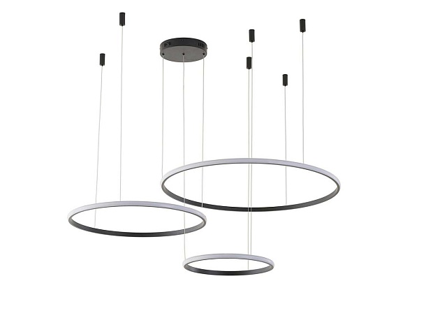 Подвесной светильник Zortes RINGOLIGHT ZRS.33320.120F изображение 3 Подвесной светильник Zortes RINGOLIGHT ZRS.33320.120F Фото № 3