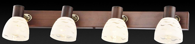 Спот Toplight Shayla TL3730Y-04BB Фото № 2