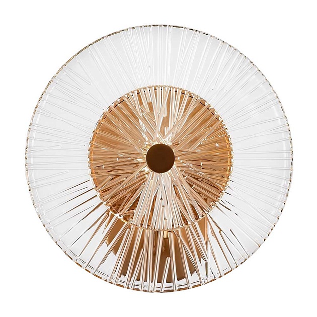 Настенный светильник Maytoni Aster MOD007WL-01G Фото № 11