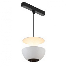 Трековый светодиодный светильник iLedex Technical Vision SMART 4822-012-D80-6W-38DG-WH 2