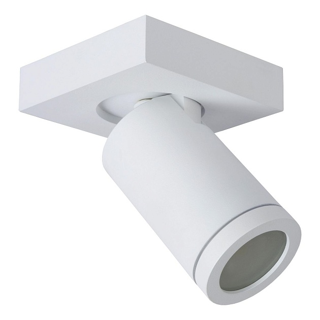 Спот Lucide Taylor 09930/05/31 Фото № 1