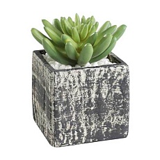 Искусственное растение в горшке Eglo Chitose 428007