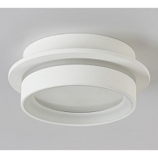 Потолочный светильник Ambrella light TN5383 3