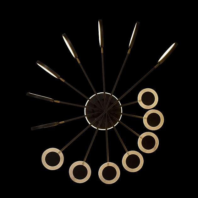 Потолочная светодиодная люстра Loft IT Megan 10164L Black Фото № 2