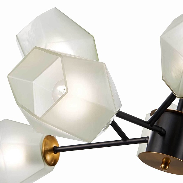 Подвесная люстра Evoluce TERRAMO SLE205102-08 Фото № 2