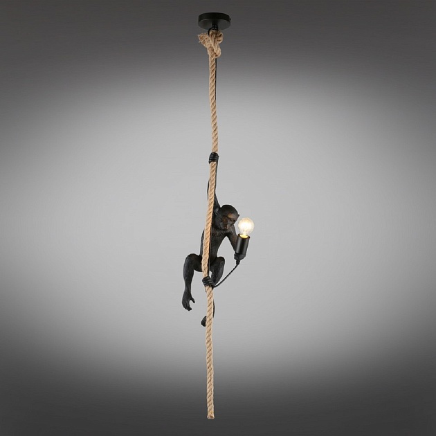 Подвесной светильник Aployt Magali APL.309.16.01 изображение 2 Подвесной светильник Aployt Magali APL.309.16.01 Фото № 2