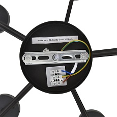 Люстра Lumion NATALINA 8349/10C 2