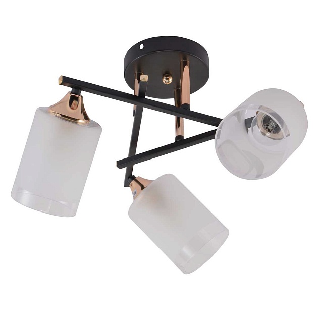 Потолочная люстра Rivoli Fiona 3163-303 Б0059259 изображение 1 Потолочная люстра Rivoli Fiona 3163-303 Б0059259 Фото № 1