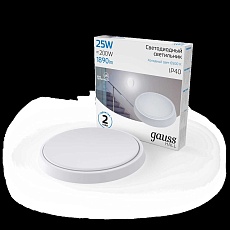Настенно-потолочный светодиодный светильник Gauss Hall 193411325 3