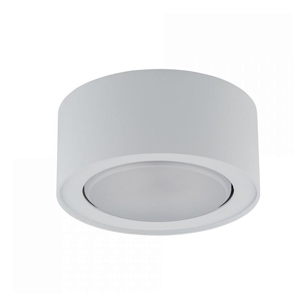 Потолочный светильник Nowodvorski Flea 8202 Фото № 1