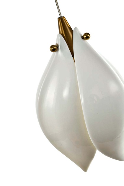 Подвесной светильник Zortes DALIN ZRS.90609.01 изображение 5 Подвесной светильник Zortes DALIN ZRS.90609.01 Фото № 5